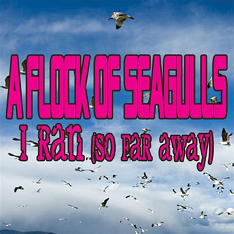 A Flock Of Seagulls Best Songs Discography Lyrics