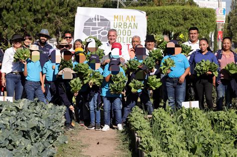 Realizan Primera Cosecha Del Huerto Urbano En Pachuca Acr Polis