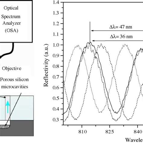 Experimental Set Up And Reflectivity Spectra Of The Psi Monolayer After