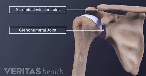 Left Acromioclavicular Joint