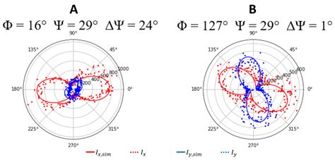 Polarization Sensitive Two Photon Microscopy For A Label Free Amyloid