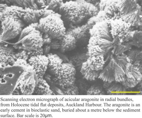 Mineralogy of carbonates; cements - Geological Digressions