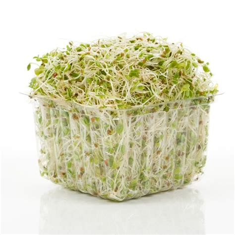 Wild About Sprouts Sprouts Amazing Alfalfa 3 Oz Container Instacart