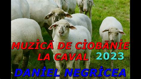 2023 COLAJ DE MUZICA DE CIOBANIE DANIEL NEGRICEA COLAJ DE CIOBANIE