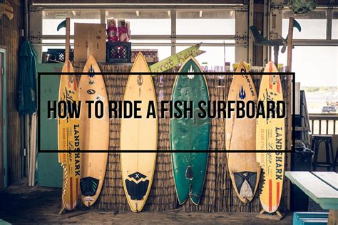 How To Ride A Fish Surfboard Wetsuit Wearhouse Blog