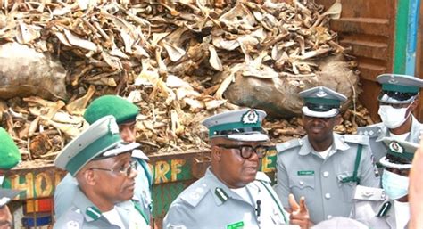 Customs Intercept Donkey Bones Dried Meat Worth Billions Of Naira