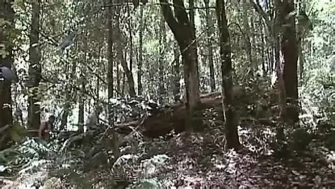 Eli Hunter Free Gay Pornstar Videos XHamster