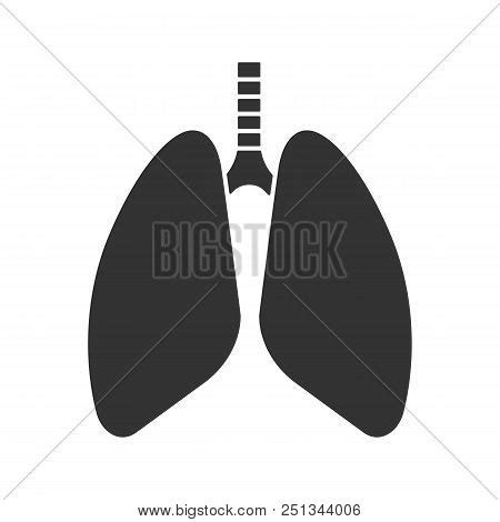 Human Lungs Glyph Vector Photo Free Trial Bigstock