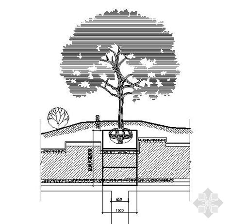 树穴详图 园林景观节点详图 筑龙园林景观论坛