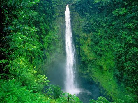 Hawaiian Journeys: Hawaiian Waterfalls