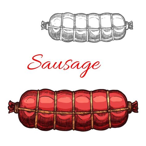 Premium Vector Vector Sausage Sketch Meat Icon