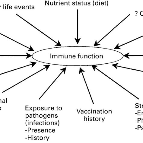 Sources Of Variation In Immune Function Download Scientific Diagram