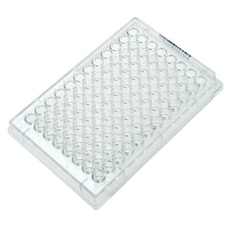 229591 CELLTREAT 96 Well Non-Treated Microplate, U-Bottom, Sterile ...