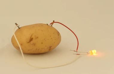 Potato Light Bulb Experiment Explanation | Americanwarmoms.org