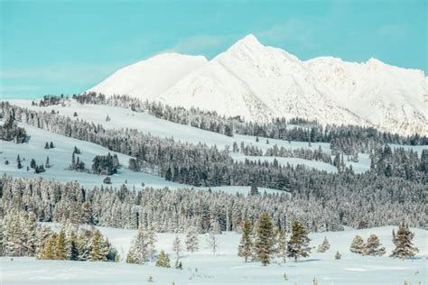 The Ultimate Yellowstone in Winter Guide: Everything You Need to Know