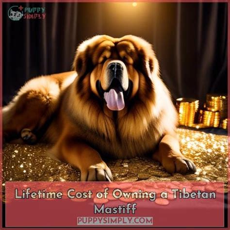 Unveil The Tibetan Mastiff S Price A Comprehensive Guide To Cost