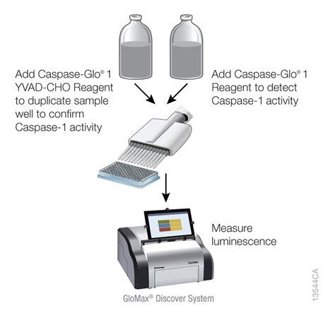 Caspase Glo 1 Inflammasome Assay