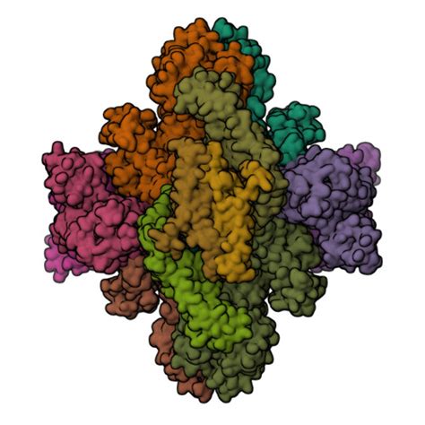 RCSB PDB 8U7I Structure Of The Phage Immune Evasion Protein Gad1