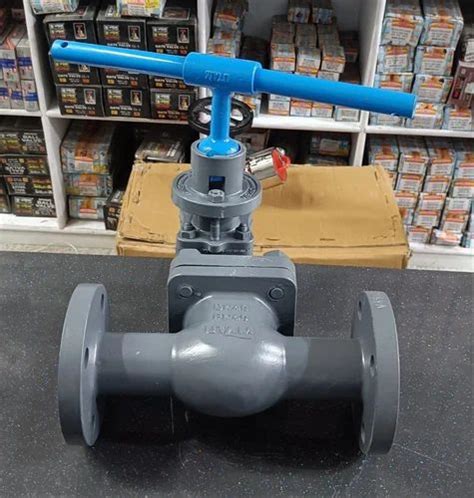 Valve Size Mm Cast Iron Bolted Bonnet Gate Valve At Rs Piece