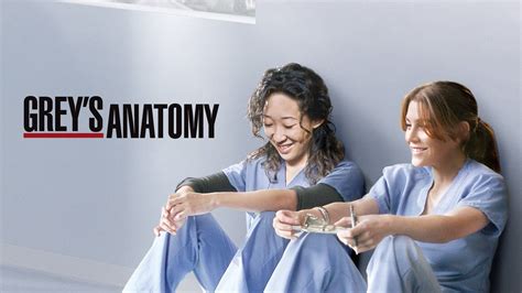 Greys Anatomy Meredith And Cristina