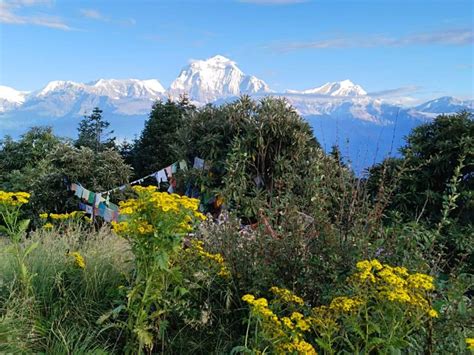 Au départ de Pokhara 3 nuits et 4 jours de trek à Ghandruk Poon Hill