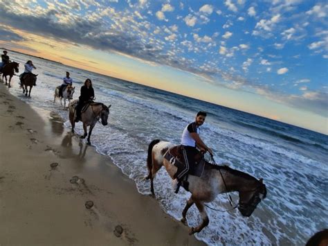 Puglia Gita A Cavallo Nel Parco Dune Costiere GetYourGuide