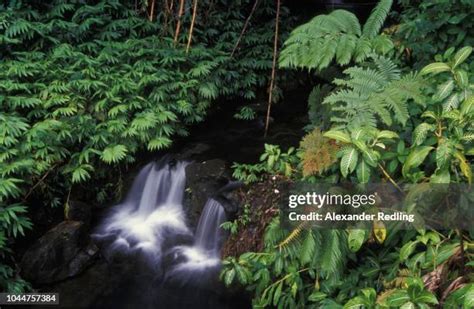 Brook Islands National Park Photos Et Images De Collection Getty Images