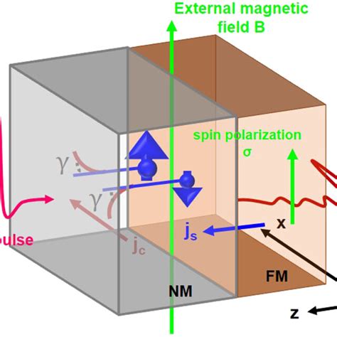 Color Online Schematic Illustration Of Ishe Spin Polarized