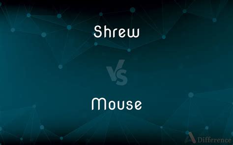 Shrew vs. Mouse — What’s the Difference?