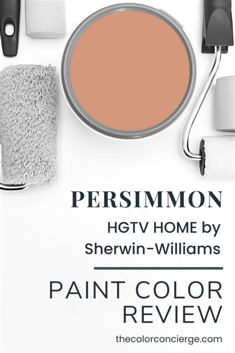 Persimmon Color Review 2024 COTY Color Concierge