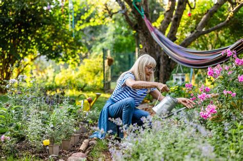 Mature Woman Watering Plants In Her Garden Stock Photo Image Of Lifestyle Mature