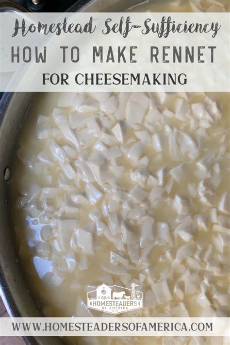 How To Make Rennet For Cheesemaking Homesteaders Of America Cheese