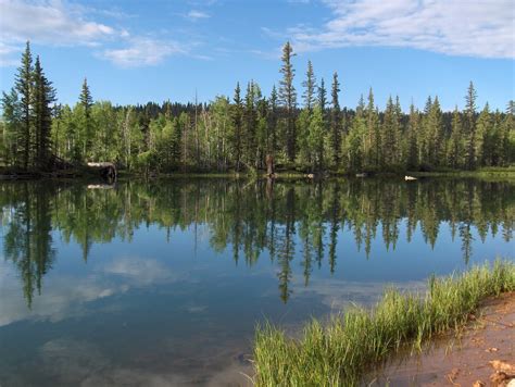 Aspen Mirror Lake Utah