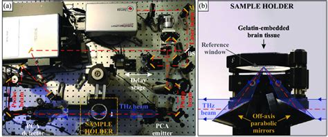 Experimental Setup For The In Vitro Thz Spectroscopy Of The