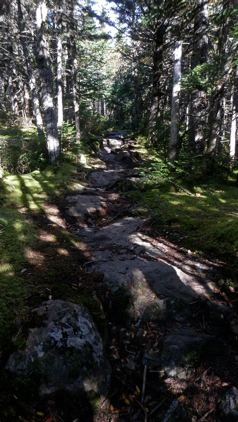 Hiking some Carter Mountains - NH State Parks