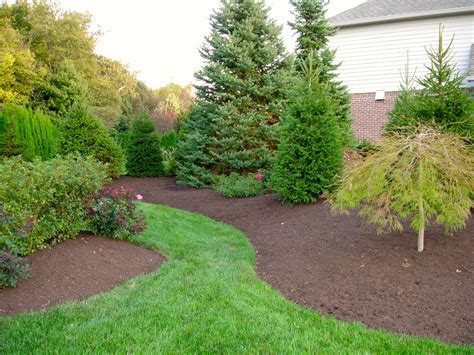 Mccartys Black Gold Mulch Indianapolis Mulch Mccarty