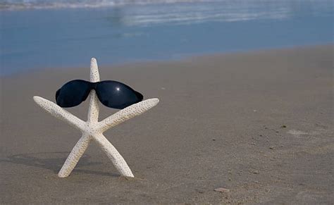 160+ Starfish Beach Sand Radial Symmetry Stock Photos, Pictures & Royalty-Free Images - iStock