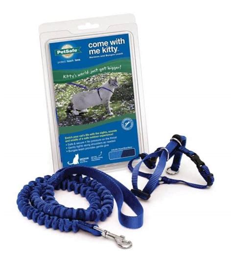 Best Escape Proof Cat Harnesses For Outdoor Adventures - TinPaw