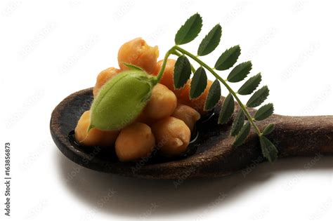 Cicer arietinum Garbanzo Kichererbse Chickpea حمص شائع Ciecierzyca Нут ...