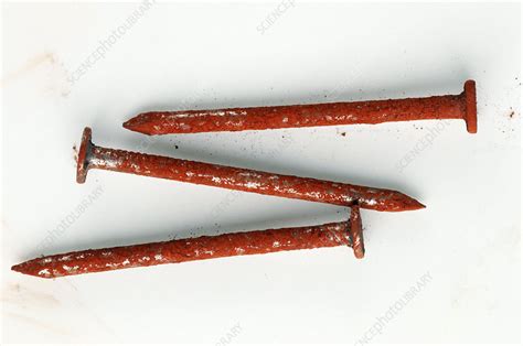 Nails Rusting After Stock Image C Science Photo Library