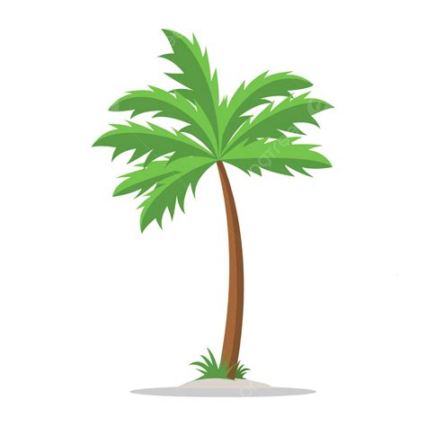 Palm Tree Vector PNG dibujos Palma Palmera Imágenes Prediseñadas De