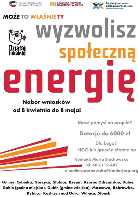 Rusza nabór wniosków Działaj Lokalnie 2024 Fundacja na rzecz