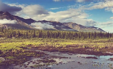 What Is Alaska Known For 17 Things It S Famous For