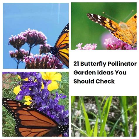 21 Butterfly Pollinator Garden Ideas You Should Check SharonSable