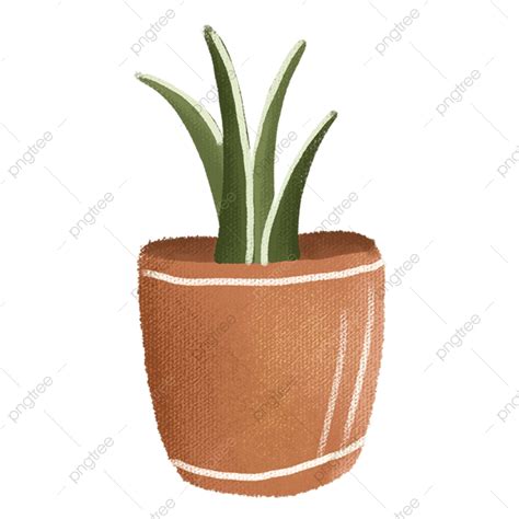 Plant Pots Png Transparent Potted Plants Green Plants Plant Pot