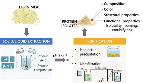 Combined Effect Of Extraction And Purification Conditions On Yield