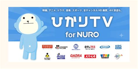 Nuro光のテレビ「ひかりtv For Nuro」とは？導入するメリットとデメリット おてがるネット