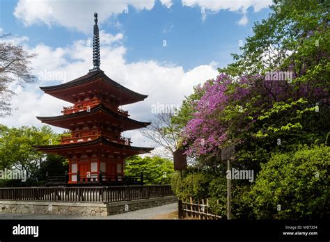 Three Story Pagoda And Flowering Trees At Springtime Inside Kyoto