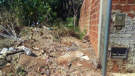 Descaso terreno baldio faz moradora temer escorpiões no Rancho