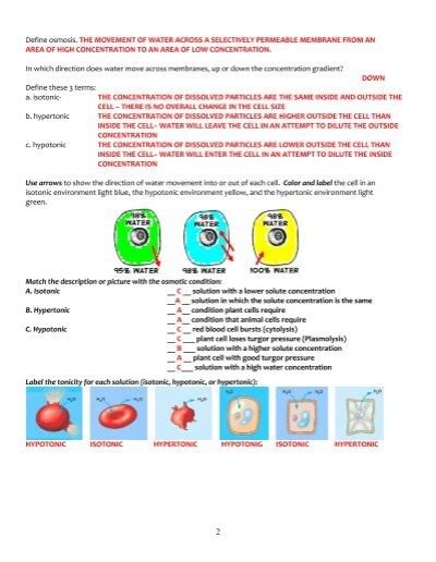 Hypotonic Hypertonic Isotonic Worksheet